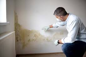 Best Water Damage & Mold Remediation in USA